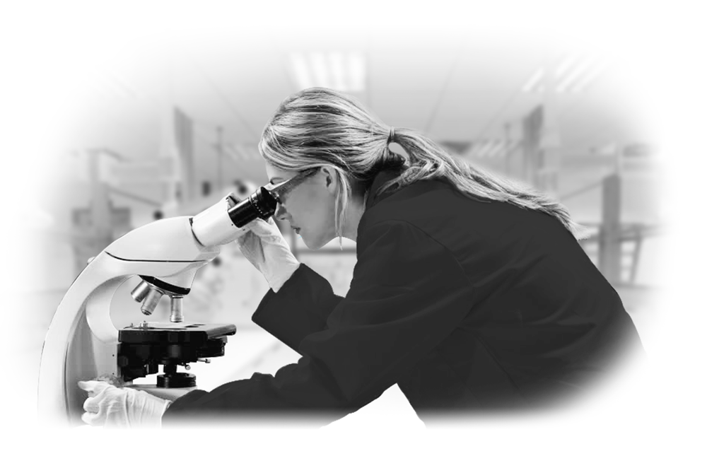 Laboratory Services – Materials Testing and Analysis