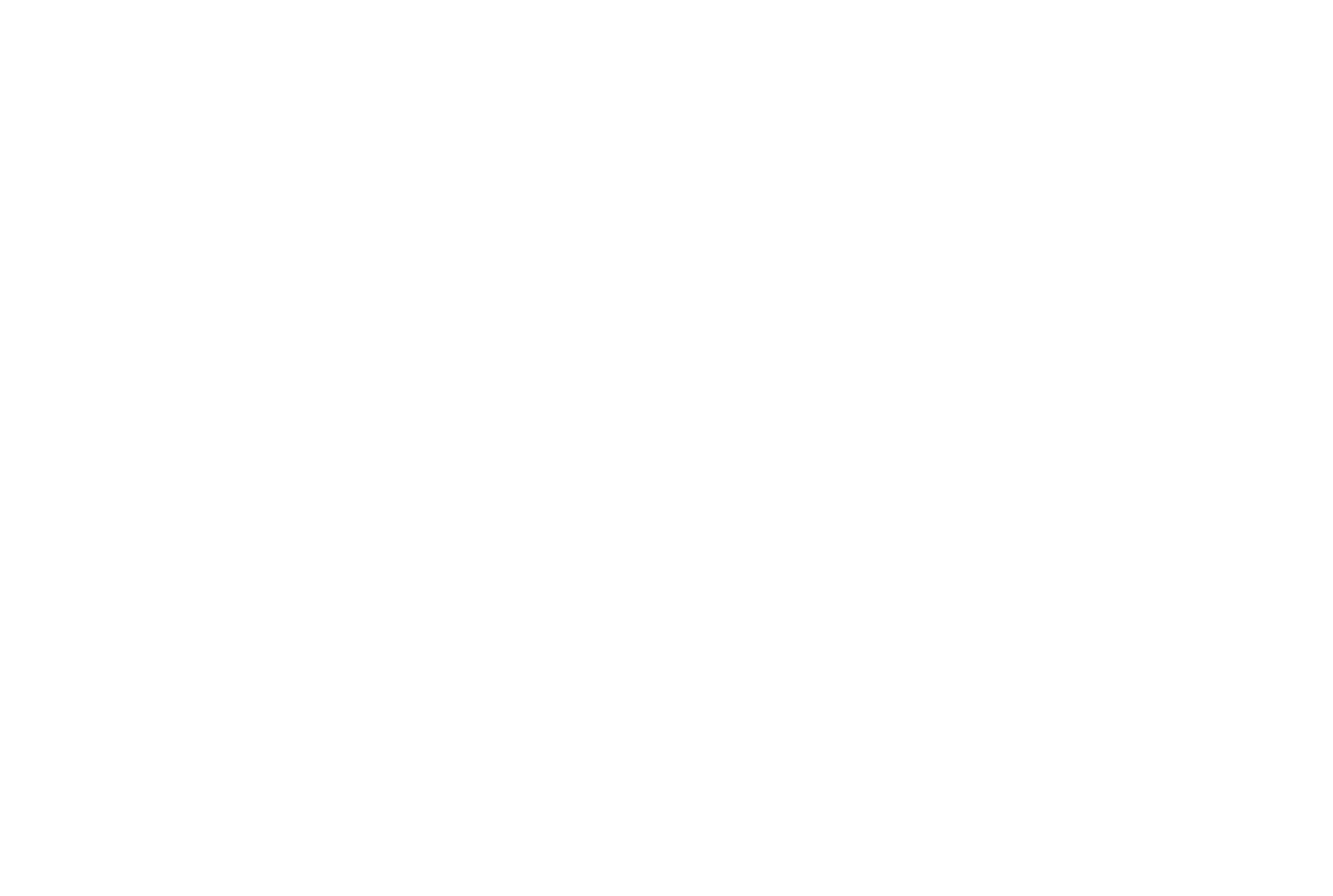 NV5 white logo